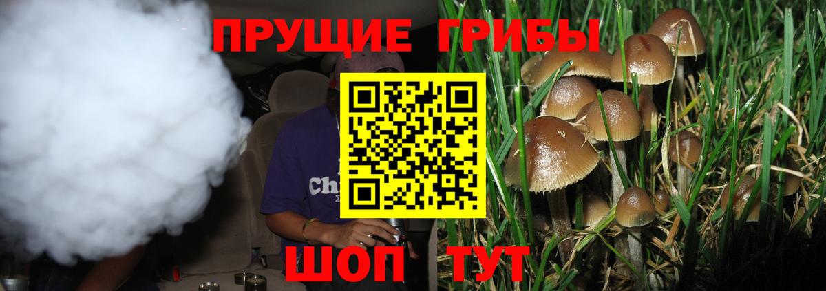 Таганрог  Галлюциногенные грибы Psilocybe  Вход с VPN 